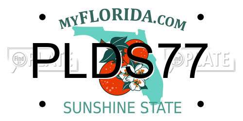 PLDS77 Florida License Plate