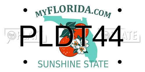 PLDT44 Florida License Plate