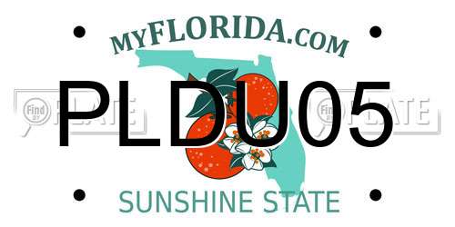 PLDU05 Florida License Plate