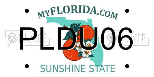 PLDU06 Florida License Plate