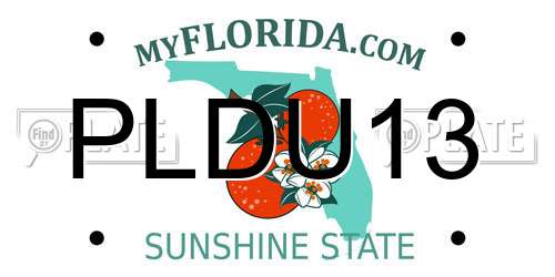 PLDU13 Florida License Plate