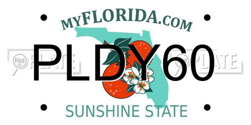 PLDY60 Florida License Plate