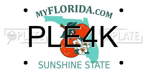 PLE4K Florida License Plate