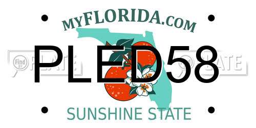 PLED58 Florida License Plate