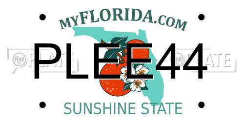 PLEE44 Florida License Plate