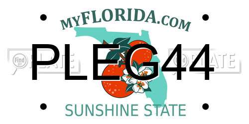 PLEG44 Florida License Plate
