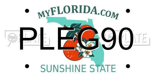PLEG90 Florida License Plate