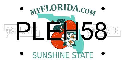 PLEH58 Florida License Plate