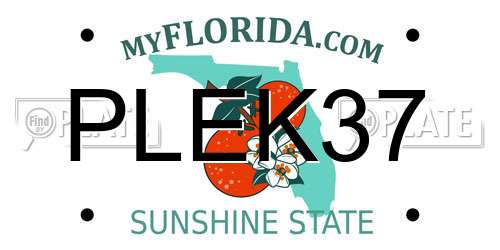 PLEK37 Florida License Plate