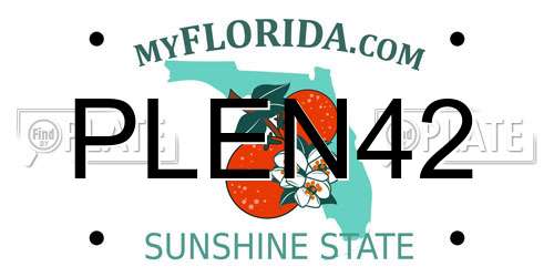 PLEN42 Florida License Plate