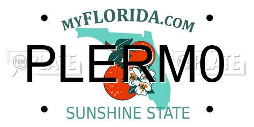 PLERM0 Florida License Plate