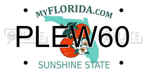 PLEW60 Florida License Plate
