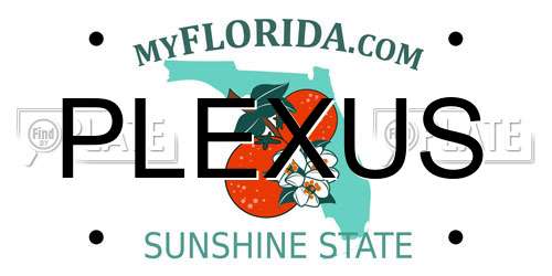 PLEXUS Florida License Plate