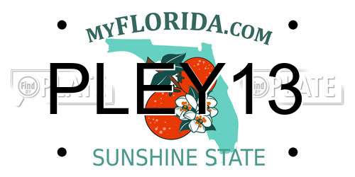 PLEY13 Florida License Plate