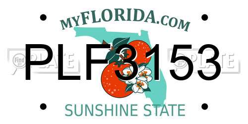 PLF3153 Florida License Plate