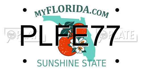 PLFE77 Florida License Plate