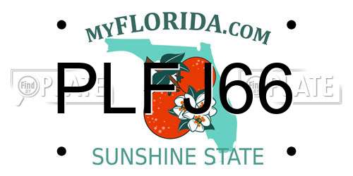 PLFJ66 Florida License Plate