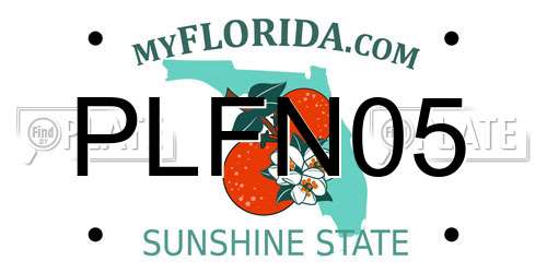 PLFN05 Florida License Plate