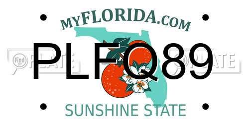 PLFQ89 Florida License Plate