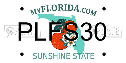 PLFS30 Florida License Plate