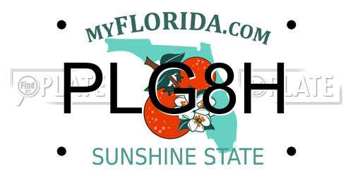 PLG8H Florida License Plate