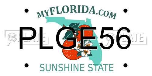 PLGE56 Florida License Plate