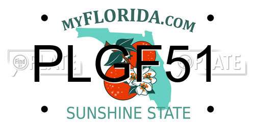 PLGF51 Florida License Plate