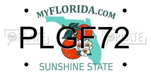 PLGF72 Florida License Plate