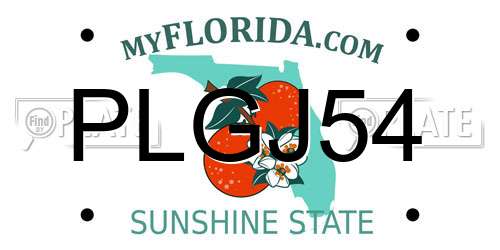 PLGJ54 Florida License Plate