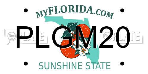 PLGM20 Florida License Plate