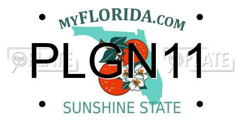 PLGN11 Florida License Plate