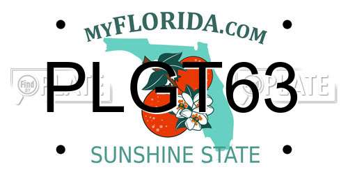 PLGT63 Florida License Plate