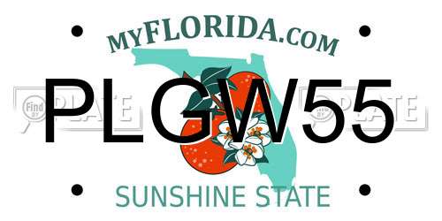PLGW55 Florida License Plate
