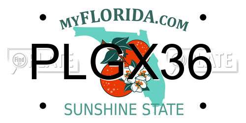 PLGX36 Florida License Plate