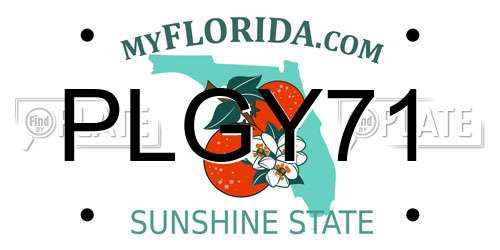 PLGY71 Florida License Plate