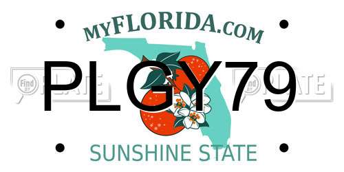 PLGY79 Florida License Plate