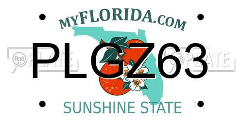 PLGZ63 Florida License Plate