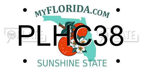 PLHC38 Florida License Plate
