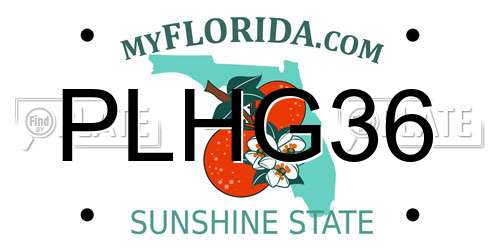 PLHG36 Florida License Plate