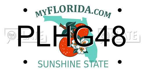PLHG48 Florida License Plate