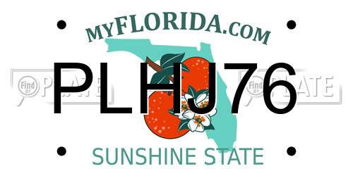 PLHJ76 Florida License Plate