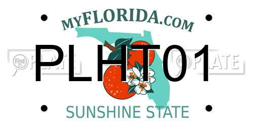 PLHT01 Florida License Plate