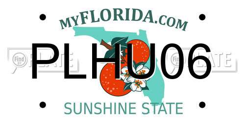 PLHU06 Florida License Plate