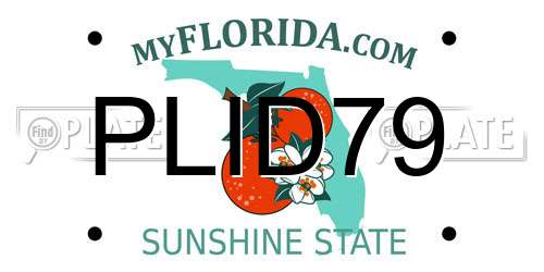 PLID79 Florida License Plate