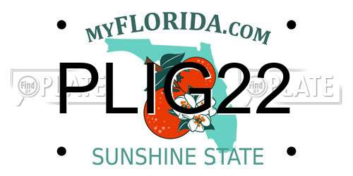 PLIG22 Florida License Plate