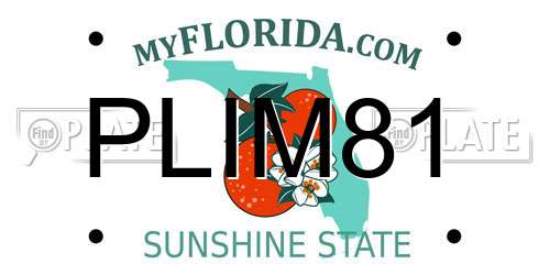 PLIM81 Florida License Plate