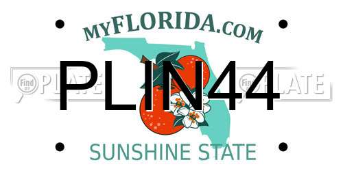 PLIN44 Florida License Plate