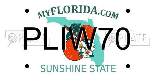PLIW70 Florida License Plate