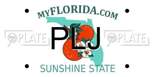 PLJ Florida License Plate