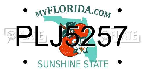PLJ5257 Florida License Plate